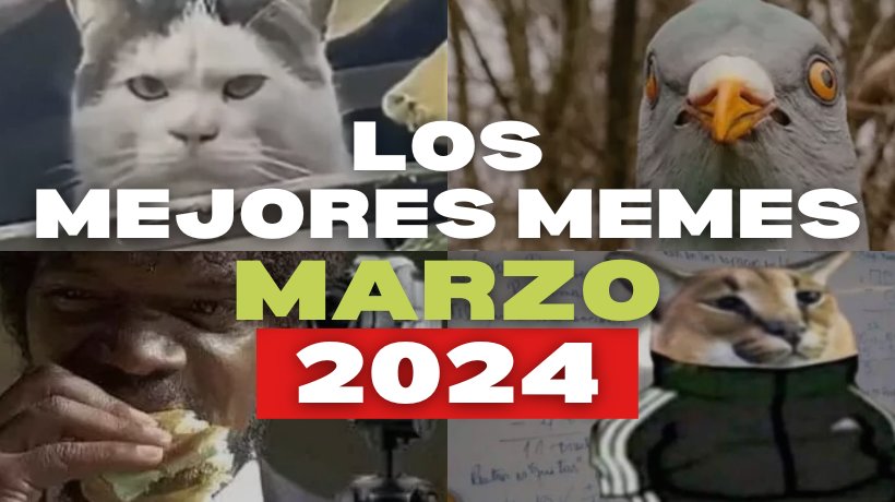 memes 8 de julio 2024