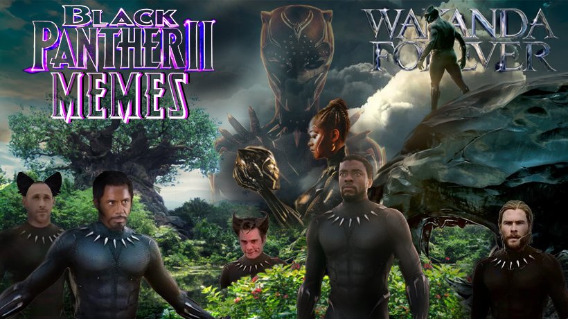 The best Black Panther 2 memes