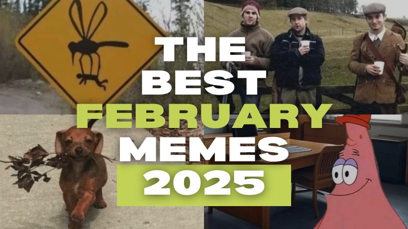 The Best February Memes 2025