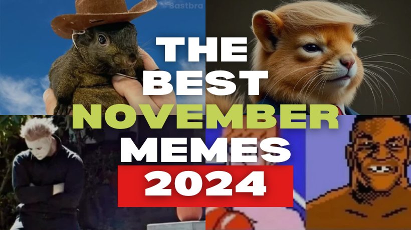 The Best November Memes 2024