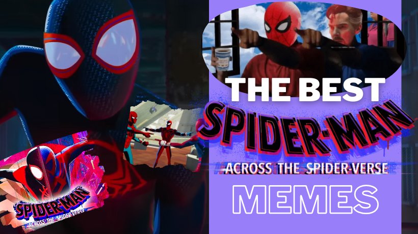 The Best SpiderMan Across The SpiderVerse Memes