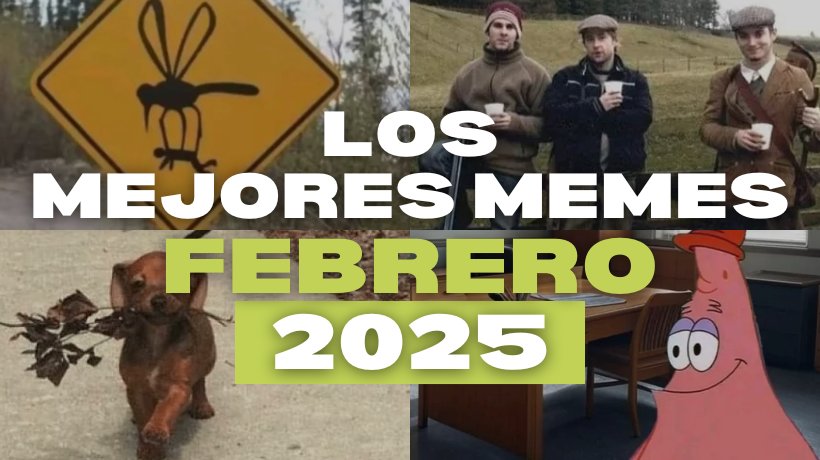 Los mejores memes de febrero 2025